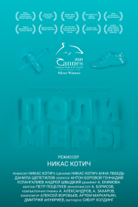 Полимеры - постер
